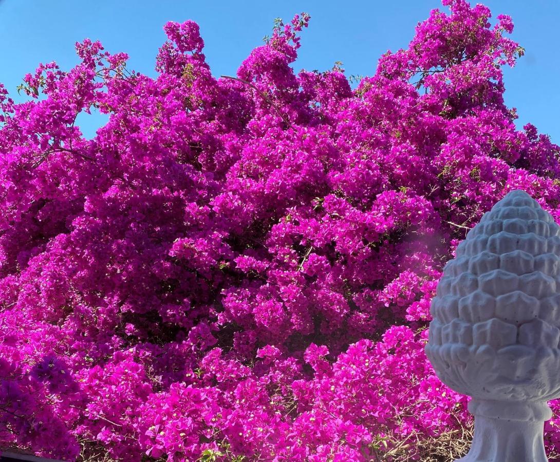 Le Dimore In Piazzetta Massafra Dış mekan fotoğraf