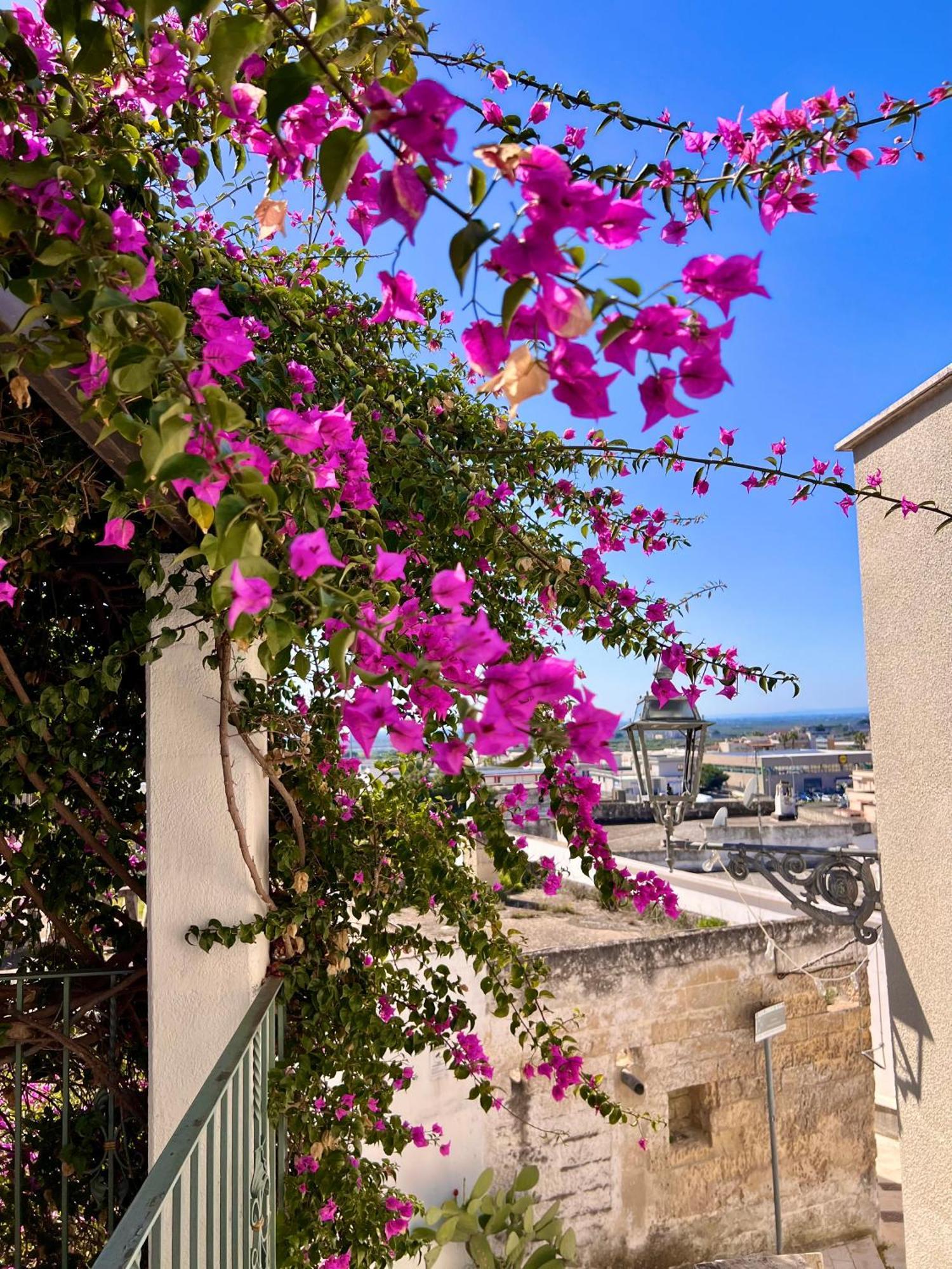 Le Dimore In Piazzetta Massafra Dış mekan fotoğraf